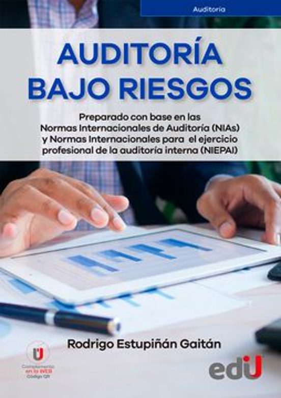 Portada de Auditoría bajo riesgos