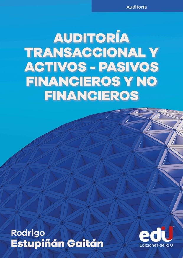 Portada de Auditoría transaccional y activos-pasivos financieros y no financieros
