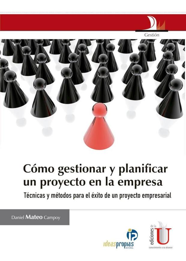 Portada de Cómo gestionar y planificar un proyecto en la empresa