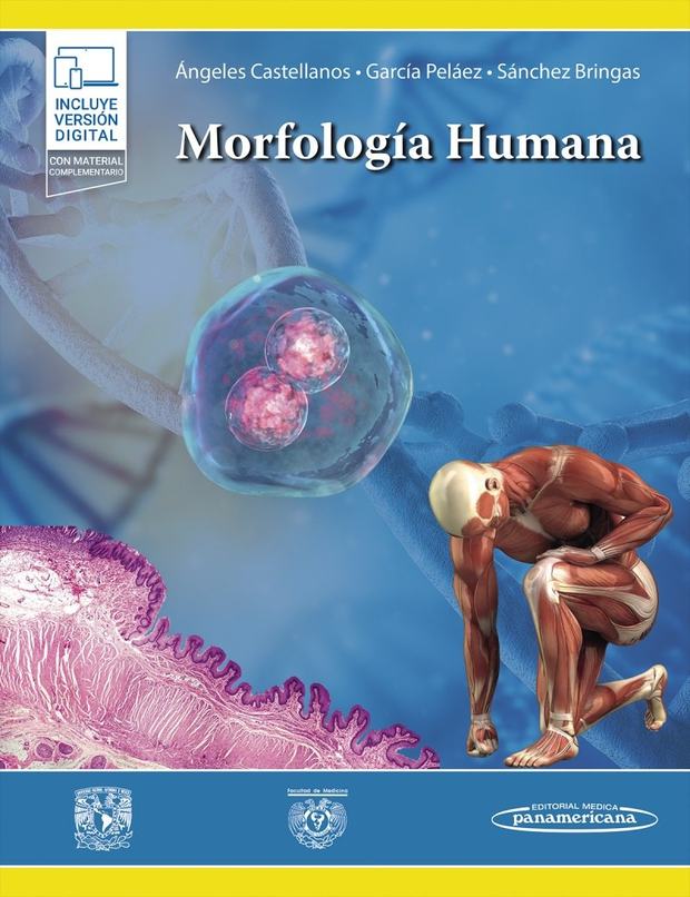 Portada de Morfología Humana