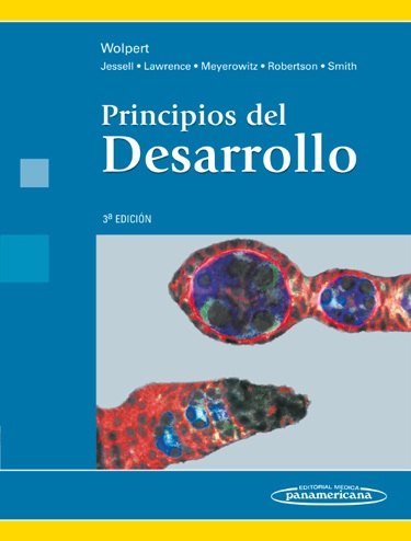 Portada de Principios del Desarrollo