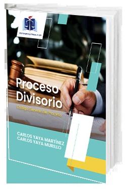 Portada de Proceso Divisorio