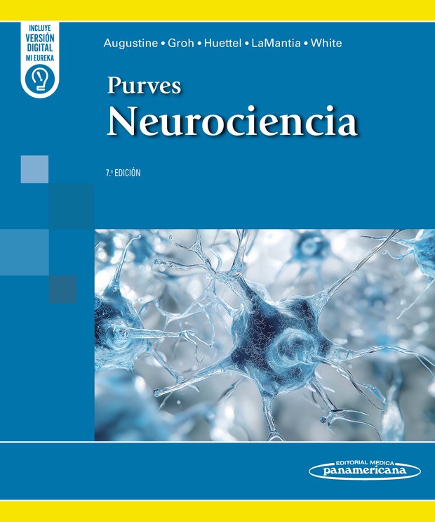 Portada de Purves. Neurociencia